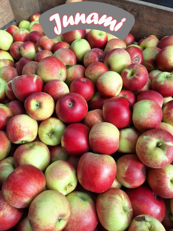 Junami Apfel