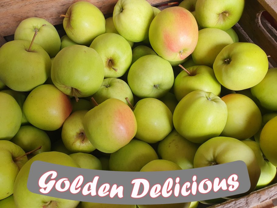 Golden Delicious Apfel