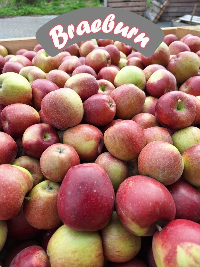 Braeburn Apfel